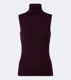 Jardin des Orangers Ribbed-knit virgin wool turtleneck top