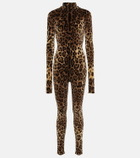 Dolce&Gabbana Leopard-print cotton-blend catsuit