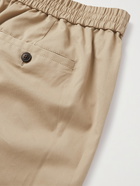 AMI PARIS - Cotton-Gabardine Bermuda Shorts - Neutrals - FR 36