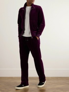 TOM FORD - Straight-Leg Cotton-Blend Velour Track Pants - Purple