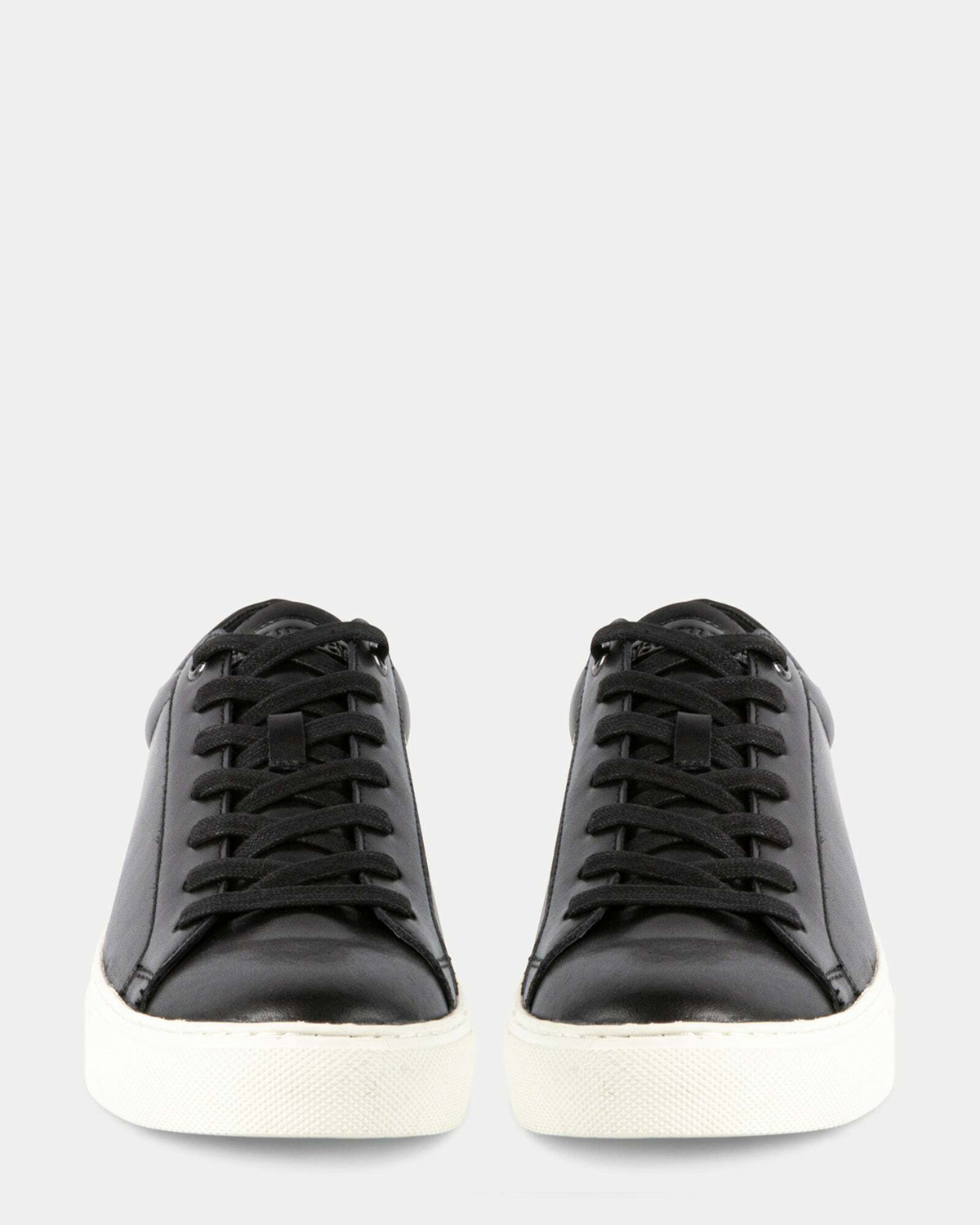Steve Madden Fogarty Sneakers in Black