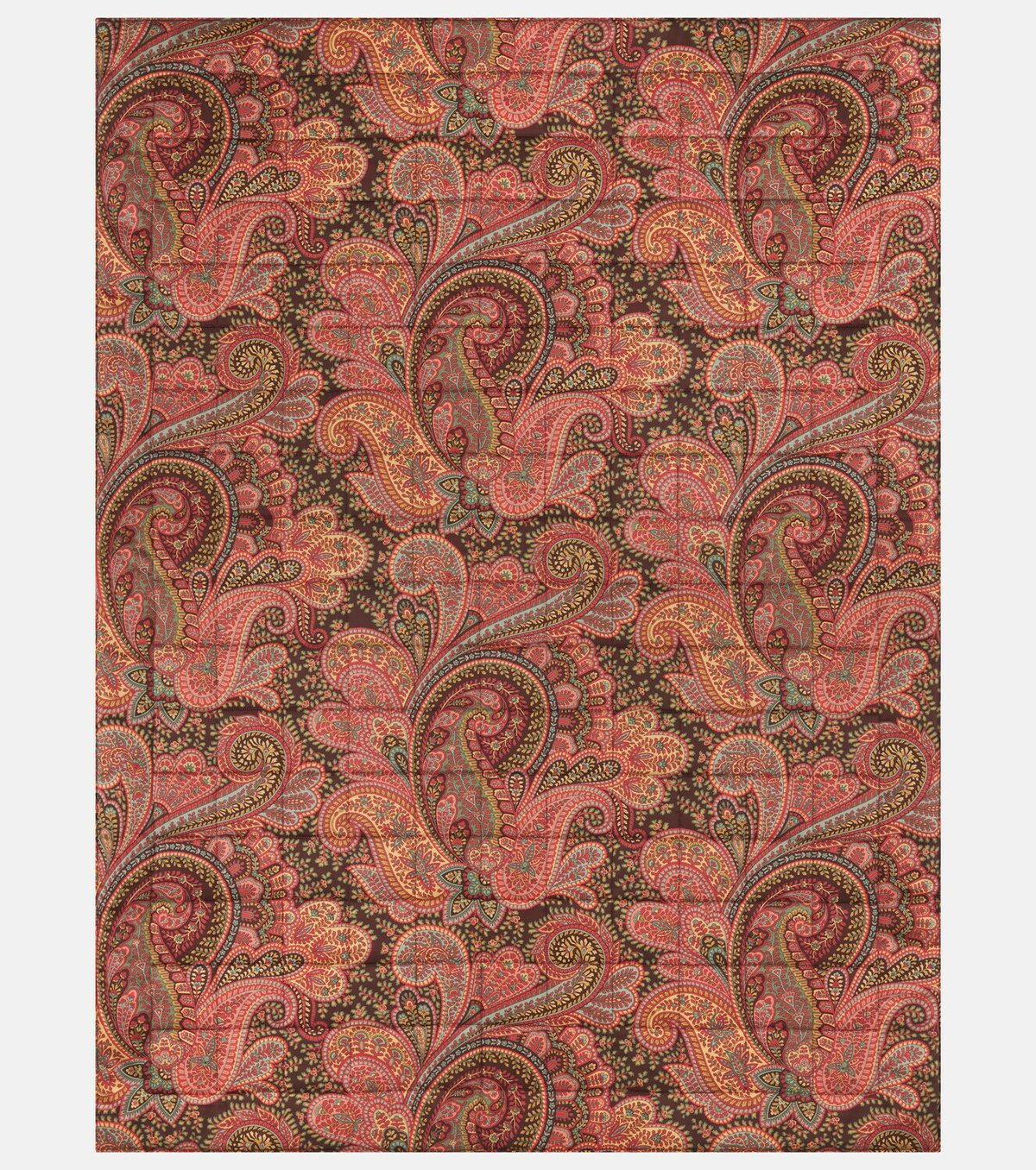 Etro Cotton throw