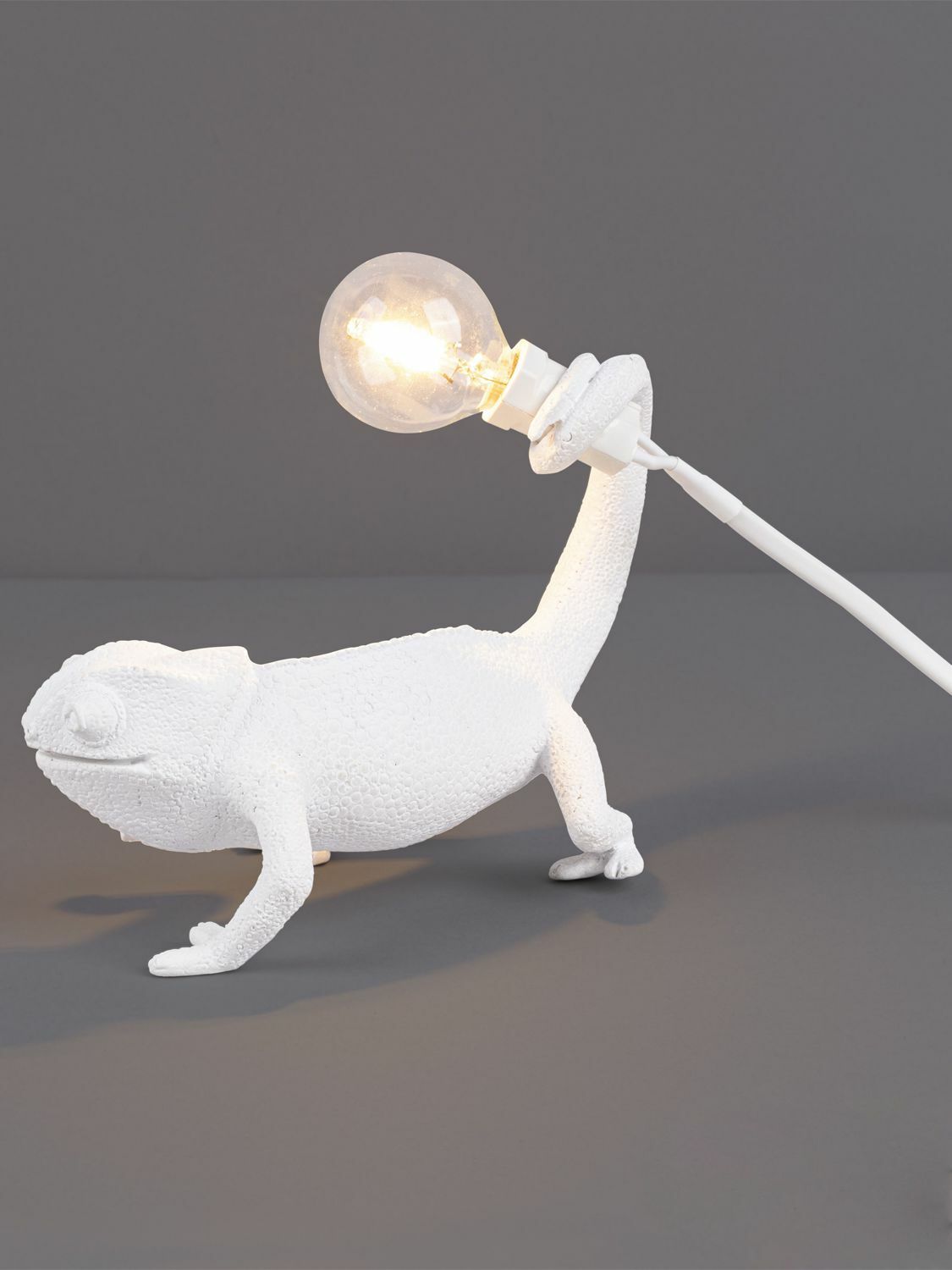 SELETTI Still Chameleon Lamp