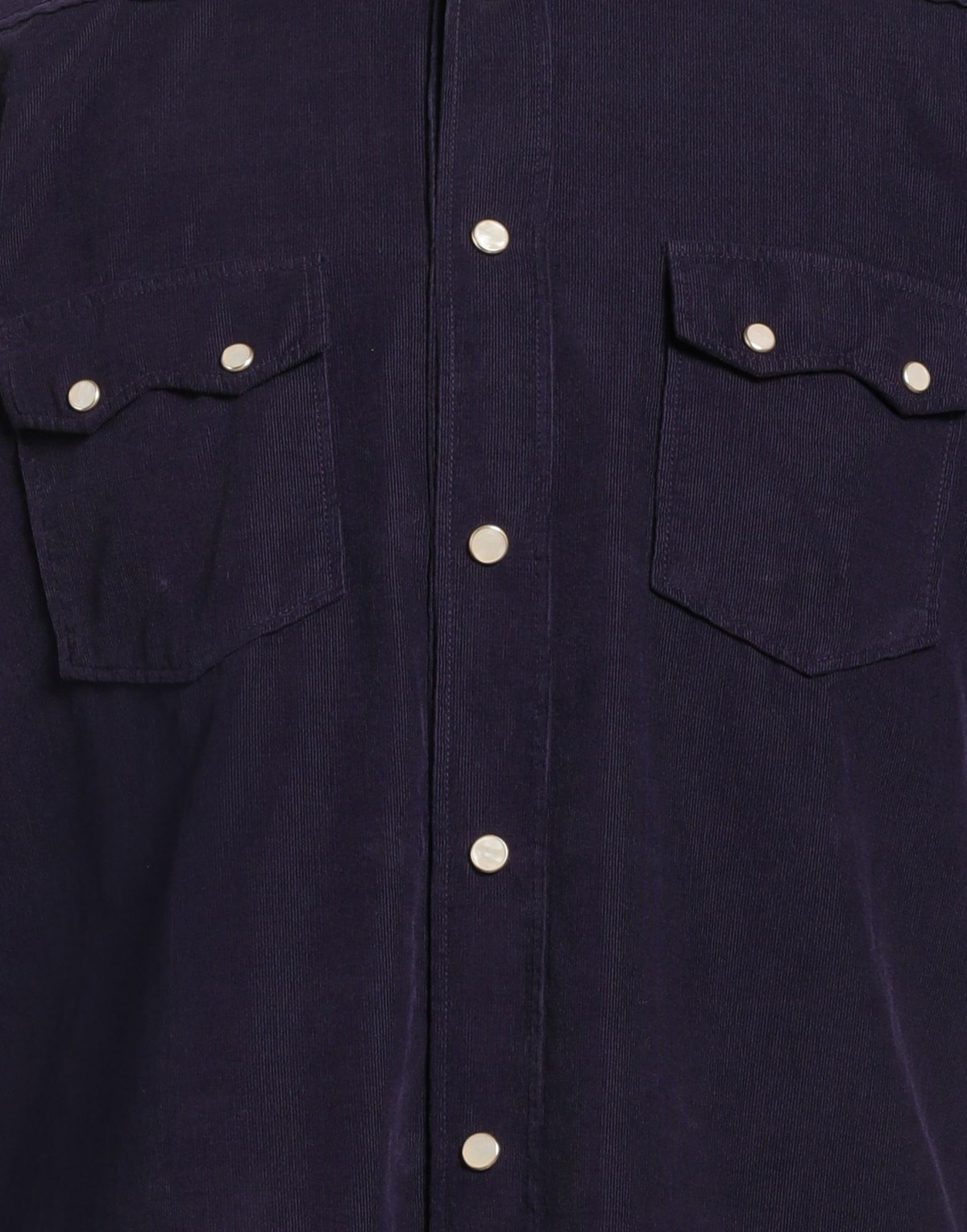 Lardini Mens Shirt Dark in Purple
