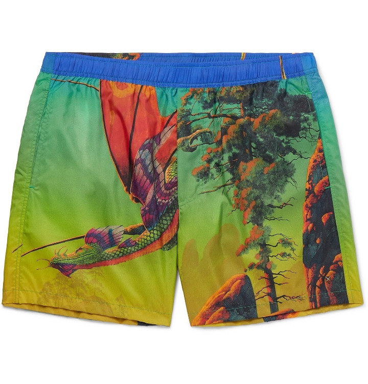 Photo: Valentino - Mid-Length Printed Swim Shorts - Green