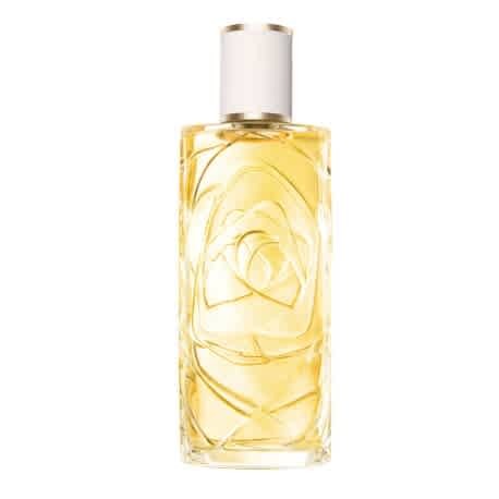 Lancome Ladies O Zenith EDT Spray 3.4 oz Fragrances 3614274380392