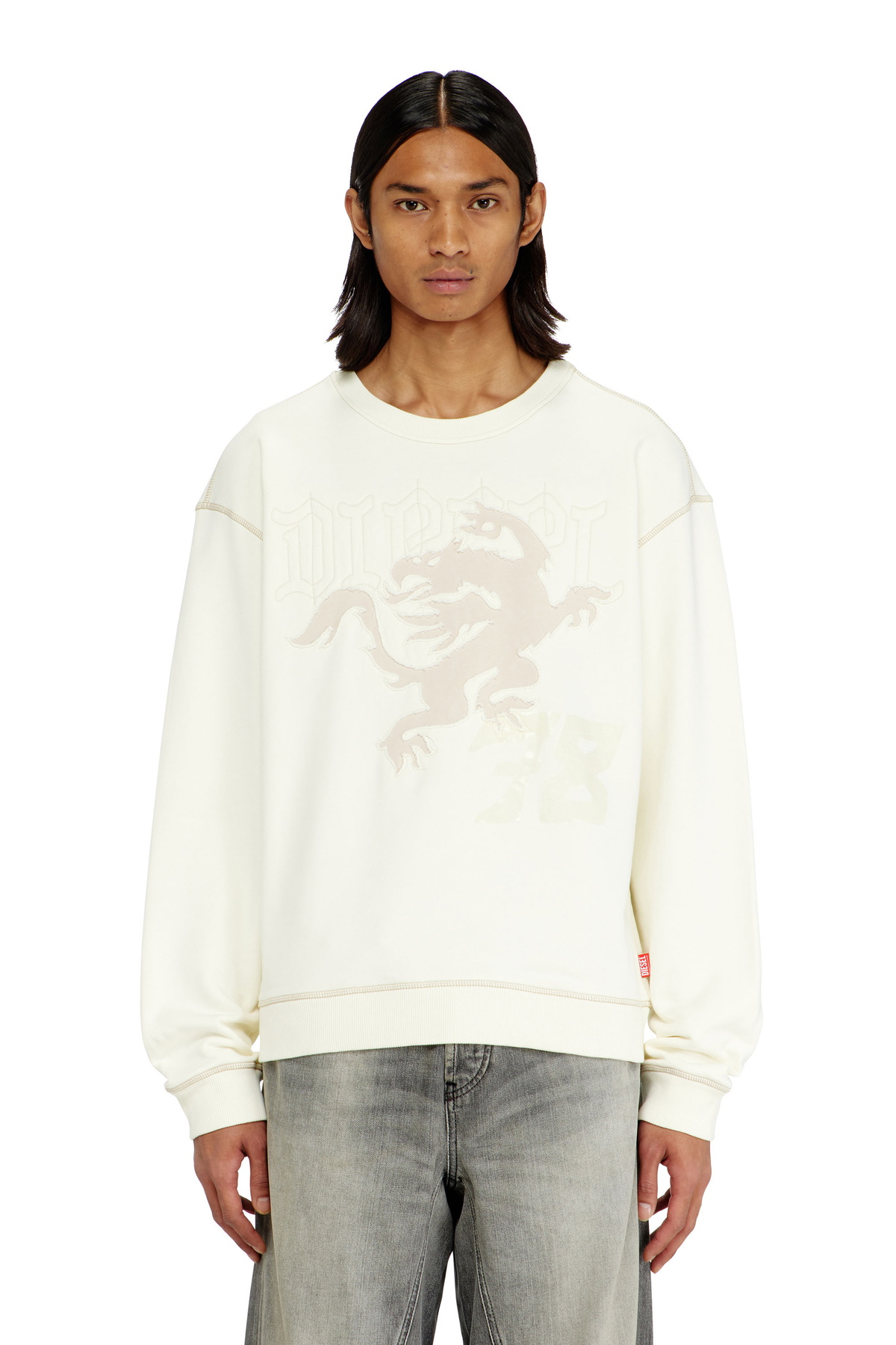 Diesel Sweatshirt with embroidery and print - Sweaters Mens in White