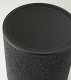 Bang & Olufsen Beosound Balance speaker
