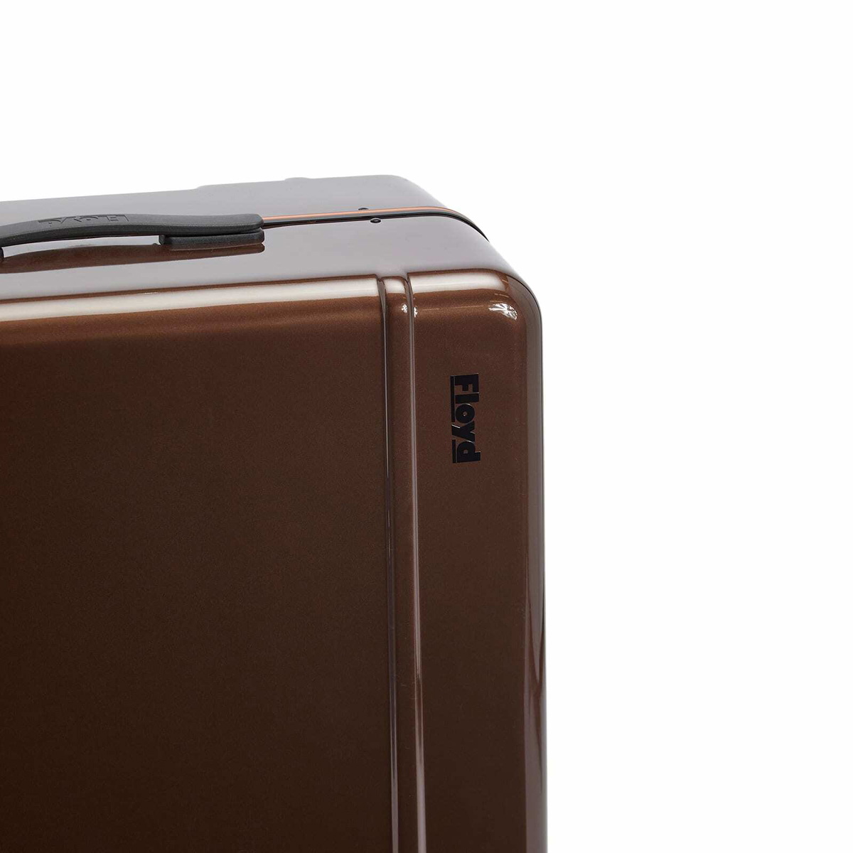 Floyd Trunk Check-In Luggage - 95L in Bronco Brown 
