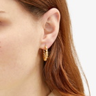 Missoma Women's Twisted Tidal Medium Hoop Earrings in Gold 