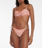 Heidi Klein Coral Gardens bandeau bikini top