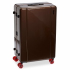 Floyd Trunk Check-In Luggage - 95L in Bronco Brown 