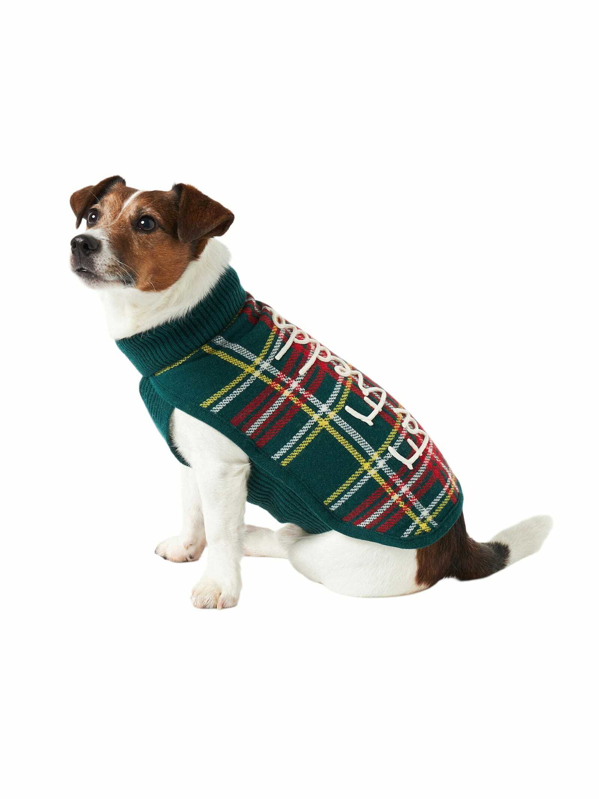 MC2 Saint Barth Dog Sweater With Tartan Jacquard