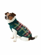 MC2 Saint Barth Dog Sweater With Tartan Jacquard