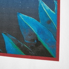 Casablanca Midnight Tee