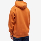 Butter Goods Men's Boquet Embroidered Hoody in Washed Rust
