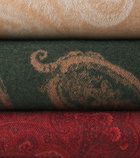 Etro Fringed paisley wool throw