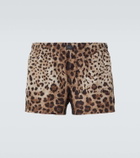 Dolce&Gabbana Leopard-print swim trunks