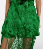 Xu Zhi Fringed asymmetric top