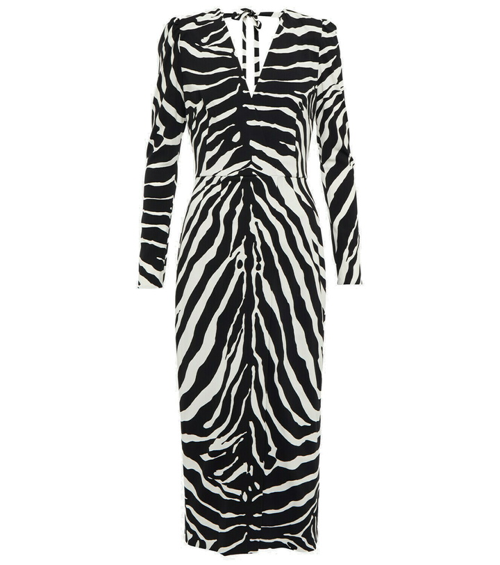 Photo: Dolce&Gabbana - Zebra-print cady midi dress