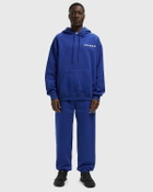 Avirex STACKED LOGO HOODIE Blue Mens Zipper