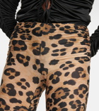Blumarine Leopard-print jersey leggings