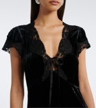 Rixo Lacie lace-trimmed velvet minidress