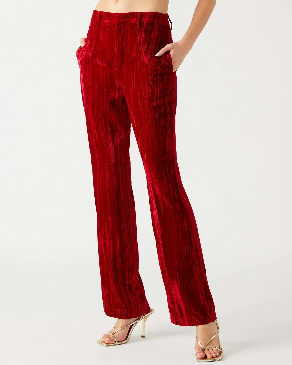 Steve Madden Mercer Crushed Velvet Pants in Red