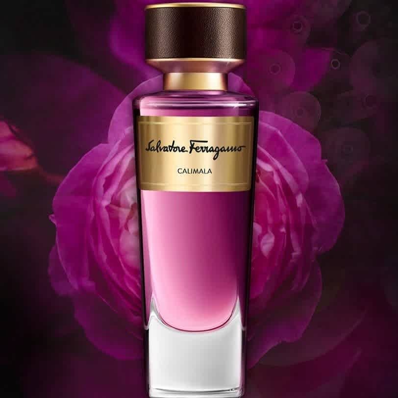 Salvatore Ferragamo Unisex Calimala EDP 3.4 oz Fragrances 8052086375253