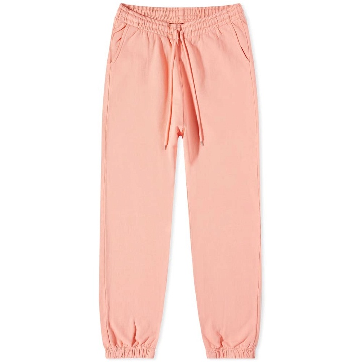Photo: Colorful Standard Organic Sweat Pant in Bright Coral