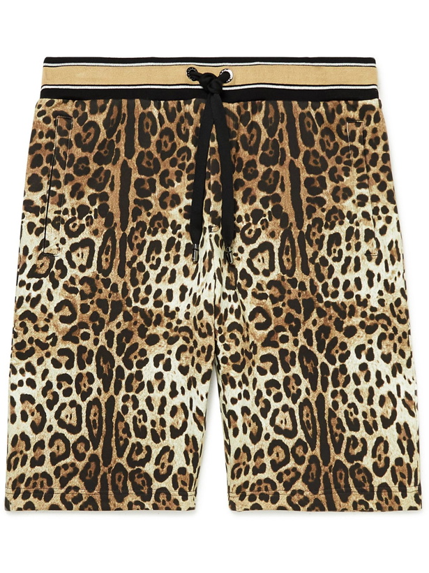 Photo: DOLCE & GABBANA - Leopard-Print Cotton-Jersey Drawstring Shorts - Brown