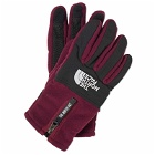 The North Face Men's Denali E-Tip Glove in Boysenberry