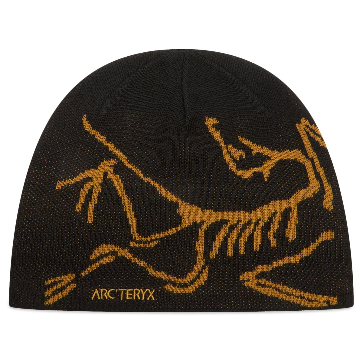 Arc'teryx Men's Grotto Toque in Eden/Black Arc'teryx