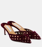 Aquazzura Romance 65 velvet mules