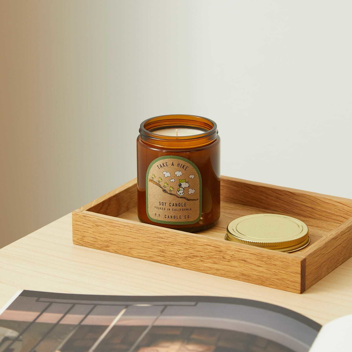 P.F. Candle Co . Take A Hike Soy Candle 