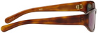 FLATLIST EYEWEAR Brown Veneda Carter Edition Daze Sunglasses