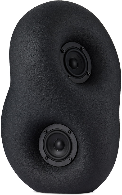 Photo: Transparent Black Acoustic Sculpture Speaker