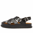 Dr. Martens Men's San Fisherman Sandal in Dark Brown