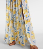 Alexandra Miro Jamie sheer maxi skirt