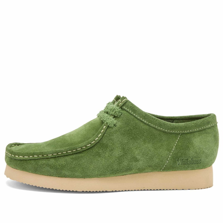 Photo: Clarks Originals Men's Wallabee in Green Suede