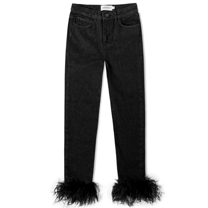 Photo: 16Arlington Feathers Denim Jeans