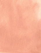Jijil Womens Top in Salmon pink