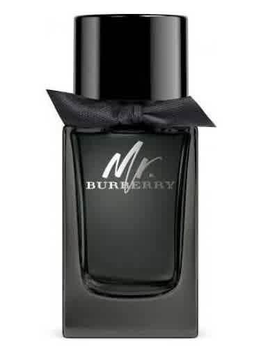 Burberry Mens Mr. Burberry EDP Spray 3.4 oz Fragrances 3616301838210