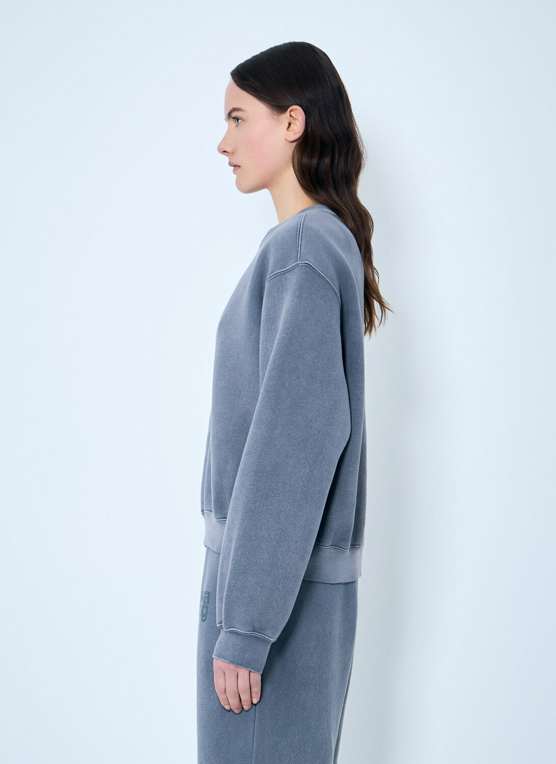 Alexander Wang Essential Classic Sweatshirt