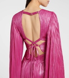 Maria Lucia Hohan Crystal caped silk gown