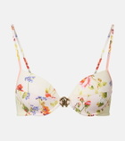 Roberto Cavalli Printed bikini top