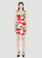 Dolce&Gabbana Poppy Print Dress