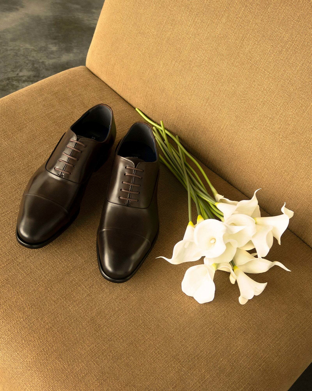 Steve Madden Moriatti Dress Shoes in Brown