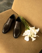 Steve Madden Moriatti Dress Shoes in Brown