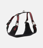 Gucci S/M GG canvas dog harness